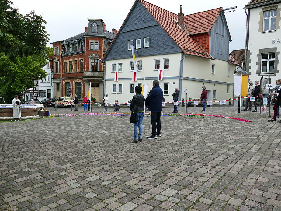 Bluemteppich auf dem Naumburegr Marktplatz (Foto: Karl-Franz Thiede)